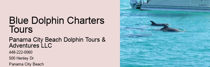 Dolphin Tours Panama City Beach Fl
