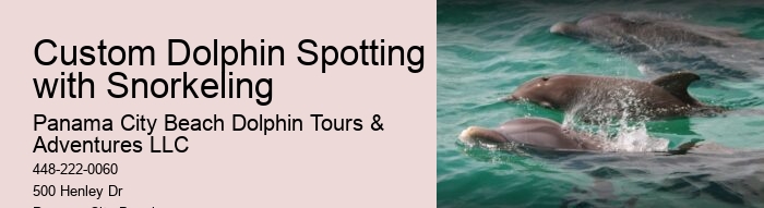 Enjoy Your Cruise Vacations In Cozumel Swimming With Dolphins