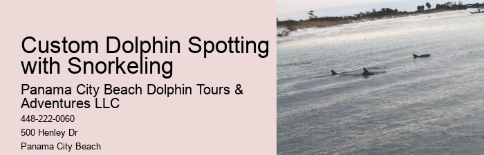 Dolphin-watching