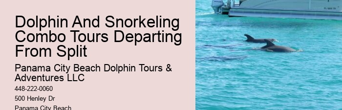 Exclusive Dolphin Snorkeling Excursions
