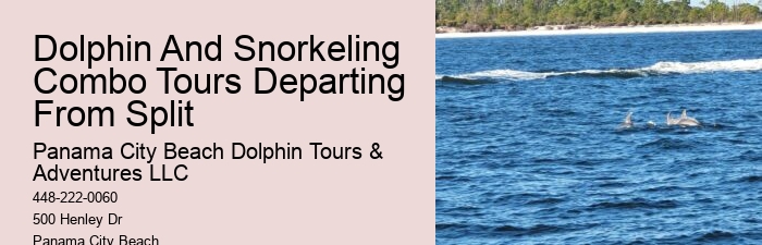 Behind The Smiles: The Suffering Endured By Captive Dolphins