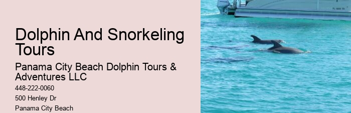 Top Dolphin Tour