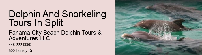 Split Private Luxury Dolphin And Snorkeling Tours