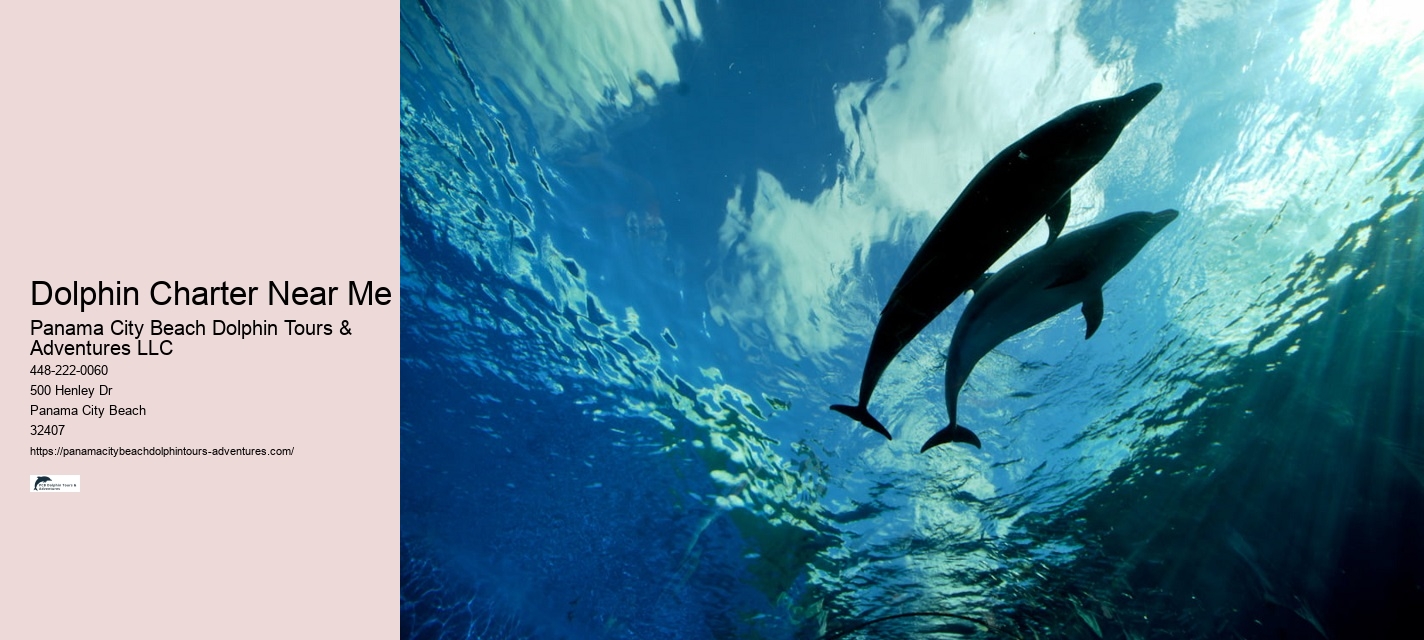 Snorkel