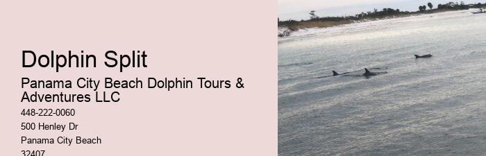 What Scares Dolphins Away