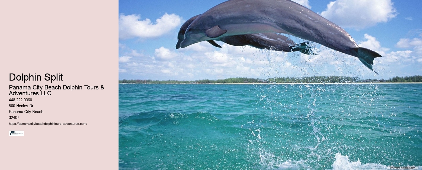 What type of dolphin species might we encounter on the tour