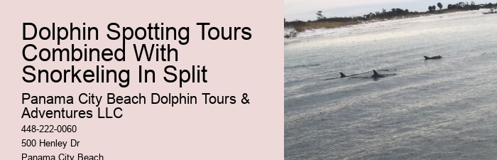 What Does It Mean When Dolphins Come Close To Shore
