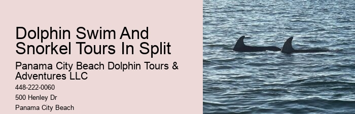 Jet ski rentals