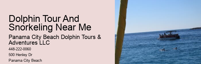 Panama City Beach Dolphin Boat Tour