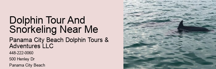 Are there any discounts available for group bookings on dolphin tours in Panama City Beach