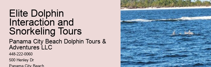 What Is The Dolphin Capital Of The World