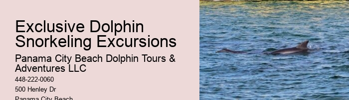 Dolphin behavior