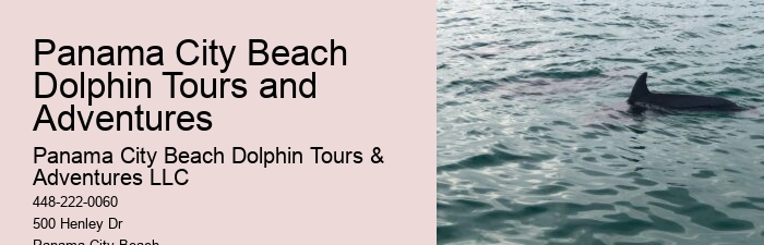 What Not To Do With Dolphins