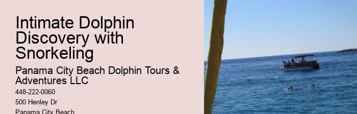 What Is The Most Friendly Dolphin In The World