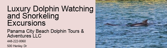Split Thrilling Speedboat Dolphin And Snorkeling Tours