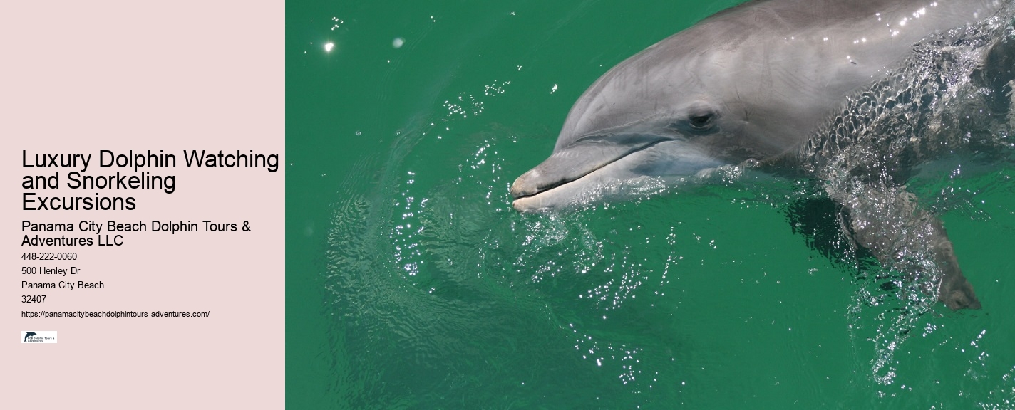 What Month Do Dolphins Have Babies