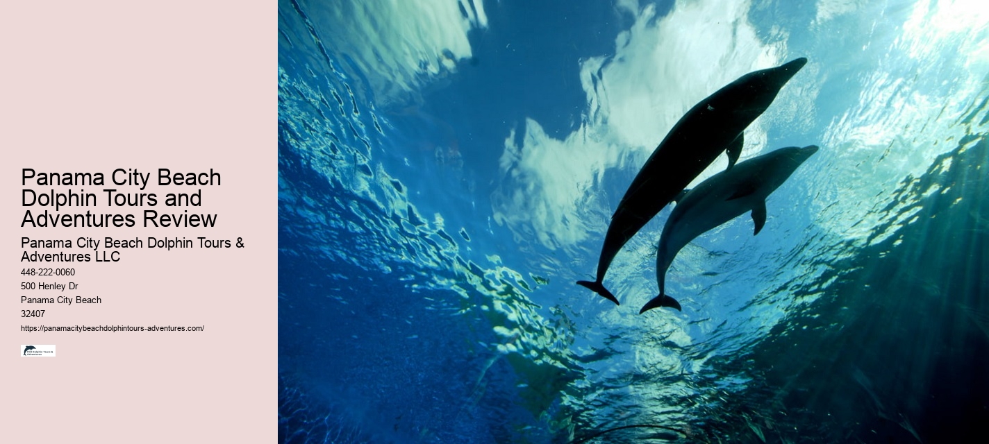 Split Luxury Dolphin And Snorkeling Excursions