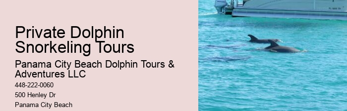 Is It Worth It To Swim With Dolphins