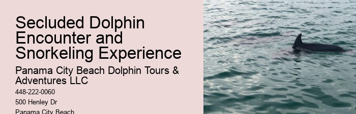 Dolphin Tours Rosemary Beach