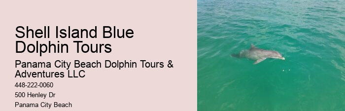 Split Ultimate Dolphin And Snorkeling Expeditions