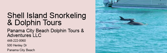Dolphin Encounter