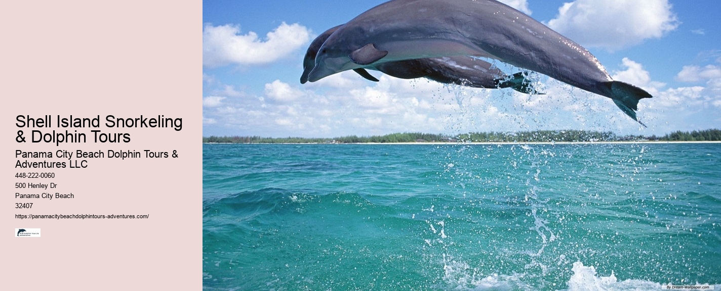Are Dolphin Tours Humane