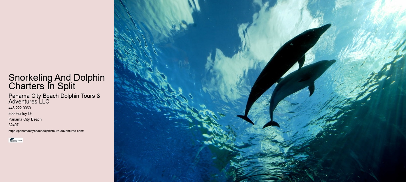 Panama City Beach Dolphin Cruises
