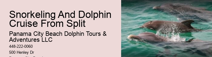 Dolphin Cruise 30a