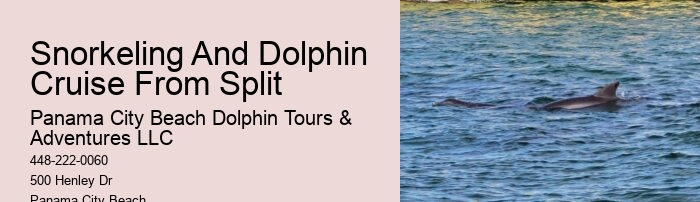 How Long Is The Dolphin Swim Experience And What Is The Age