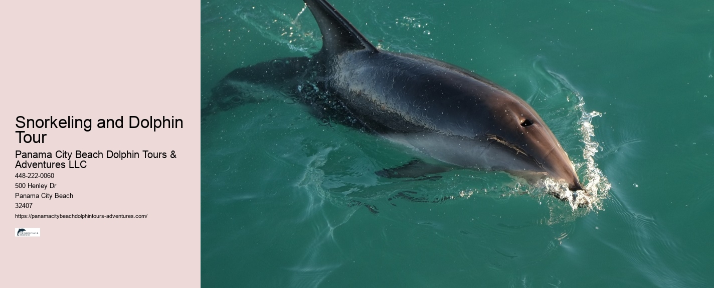 Is It True That Dolphins Use 20% Of Their Brain.