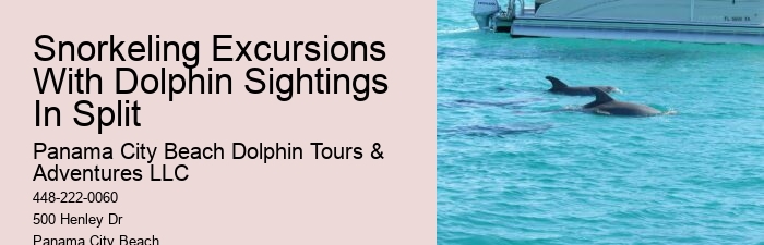Split Private Guided Dolphin And Snorkeling Tours