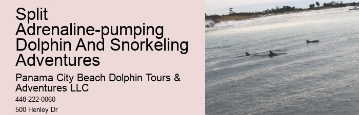 Snorkeling