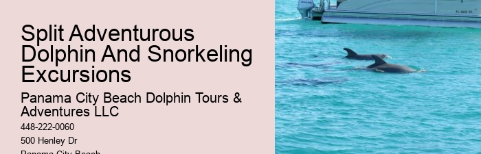 Dolphin sightseeing adventures in Panama City Beach