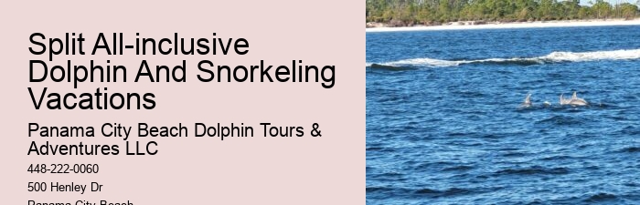 What Cruise Can You Swim With Dolphins