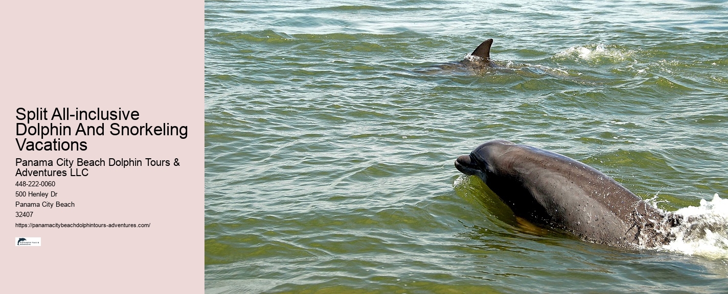 Sweet Sunsets And Dolphin Tours