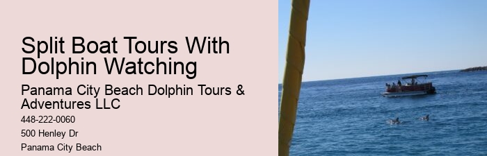 Split Small-group Dolphin And Snorkeling Tours