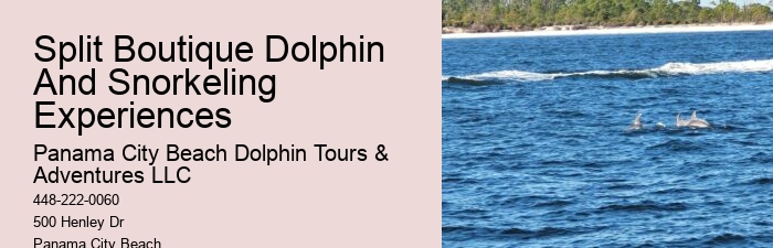 Dolphin Watch 30a