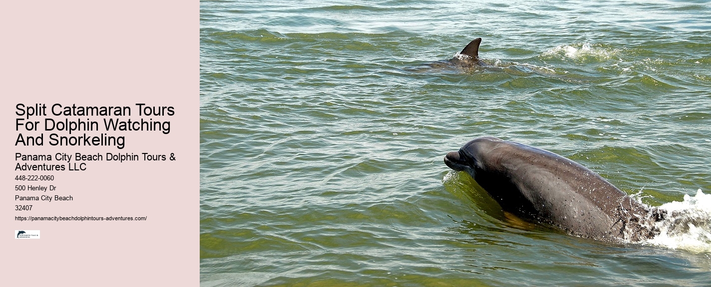 Blue Dolphin Tours Panama City Beach