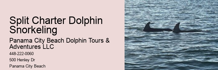 Panama City Beach Private Boat Tours
