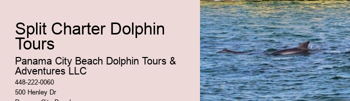 Private Dolphin Tours Panama City Beach
