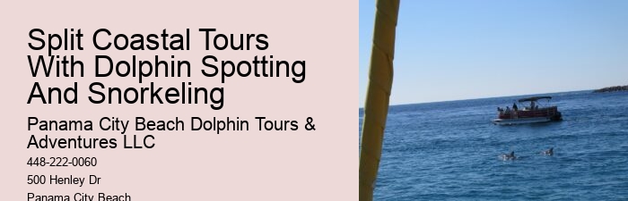 Dolphin Cruises