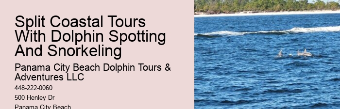 Dolphin 4 Cruise Ship