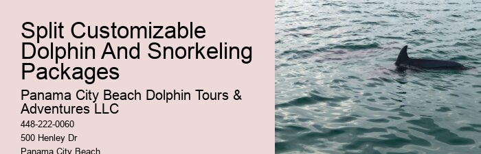 Split Educational Dolphin And Snorkeling Tours