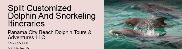 Snorkeling Tour