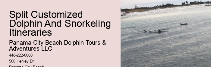 Split Charter Dolphin And Snorkeling Tours