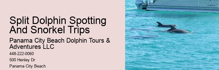 Split Multi-day Sailing Trips With Dolphin Watching And Snorkeling