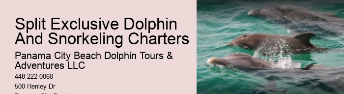 Dolphin And Snorkeling Tours Panama City Beach