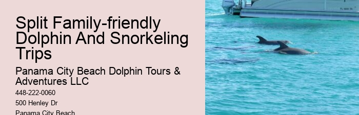 Split Customized Dolphin And Snorkeling Itineraries