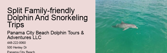 Split Half-day Dolphin And Snorkeling Tours