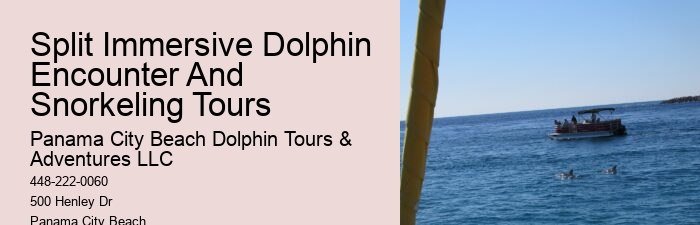 How close do the dolphin boats get to the dolphins in Panama City Beach